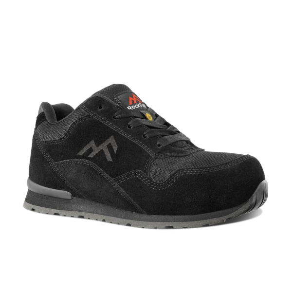 Rock Fall Astros - RF1030